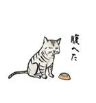 やる気少な目のねこ（個別スタンプ：19）