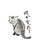 やる気少な目のねこ（個別スタンプ：20）