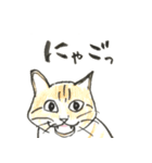 やる気少な目のねこ（個別スタンプ：25）
