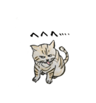 やる気少な目のねこ（個別スタンプ：30）