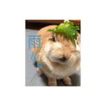 はむちゃんのすたんぷ（個別スタンプ：3）