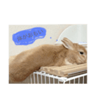 はむちゃんのすたんぷ（個別スタンプ：7）