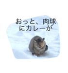 ぺんね（個別スタンプ：6）