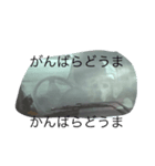 ぺんね（個別スタンプ：8）