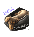 空と来（個別スタンプ：5）
