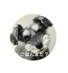 あんぢ（個別スタンプ：6）