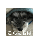 あんぢ（個別スタンプ：8）