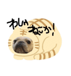 ほのぼのモモジロウ（個別スタンプ：7）