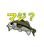 ブラックバス釣り生活（個別スタンプ：6）