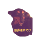 デュオ（個別スタンプ：3）