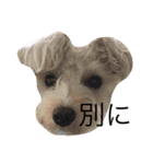 Clear's reply 2！（個別スタンプ：2）