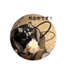 きなりとすずり（個別スタンプ：4）