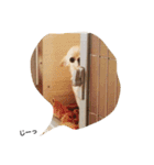 きなりとすずり（個別スタンプ：8）