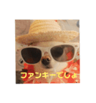 きなりとすずり（個別スタンプ：11）