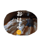 4期の愉快STAMP（個別スタンプ：9）