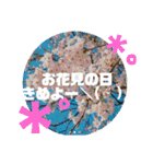 4期の愉快STAMP（個別スタンプ：27）