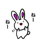 頻出！うさぎのあいさつスタンプ（個別スタンプ：24）