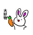 頻出！うさぎのあいさつスタンプ（個別スタンプ：40）