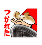川越の母とチワワ（個別スタンプ：20）