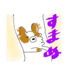 川越の母とチワワ（個別スタンプ：21）