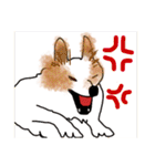 川越の母とチワワ（個別スタンプ：35）