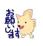 川越の母とチワワ（個別スタンプ：36）