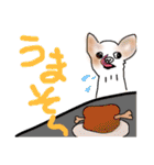 川越の母とチワワ（個別スタンプ：37）