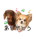 かわいいマリバロさん（個別スタンプ：2）