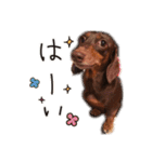かわいいマリバロさん（個別スタンプ：12）
