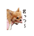 かわいいマリバロさん（個別スタンプ：14）