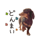 かわいいマリバロさん（個別スタンプ：20）