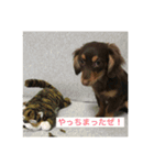 チワックス  ちゅんちゅん（個別スタンプ：9）