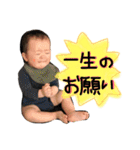 ハルクンスタンプ（個別スタンプ：37）