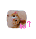 癒し系にゃんこ（個別スタンプ：2）
