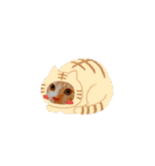 癒し系にゃんこ（個別スタンプ：11）