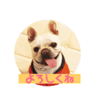ブウちゃん＆マルちゃん（個別スタンプ：2）