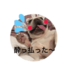 ブウちゃん＆マルちゃん（個別スタンプ：14）