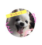 ブウちゃん＆マルちゃん（個別スタンプ：26）