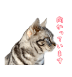 銀河のつぶやき（個別スタンプ：10）