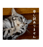 銀河のつぶやき（個別スタンプ：12）