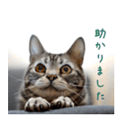 銀河のつぶやき（個別スタンプ：17）