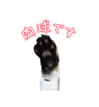 銀河のつぶやき（個別スタンプ：21）