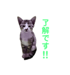 お利口 うみくん（個別スタンプ：2）