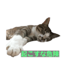 お利口 うみくん（個別スタンプ：4）