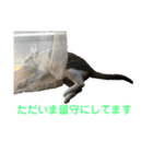 お利口 うみくん（個別スタンプ：5）