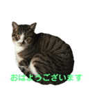 お利口 うみくん（個別スタンプ：7）