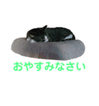 お利口 うみくん（個別スタンプ：8）
