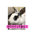 おマメのん（個別スタンプ：1）