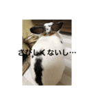 おマメのん（個別スタンプ：2）