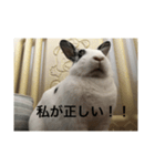 おマメのん（個別スタンプ：3）